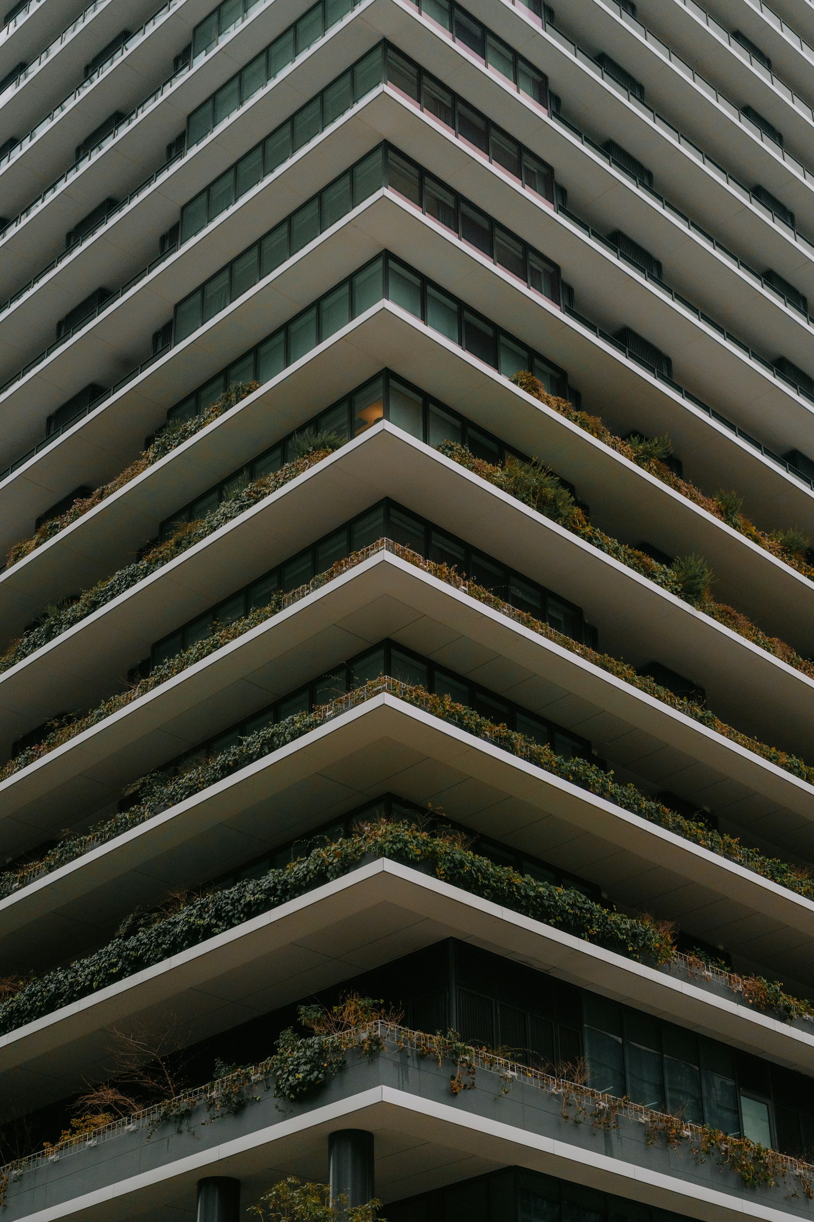 Modern building with layered greenery